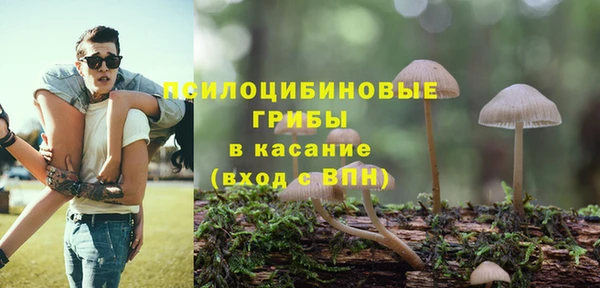 прущая мука Абаза