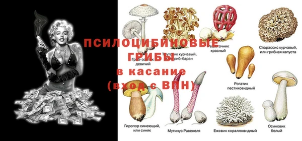 трава Абинск