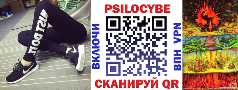Псилоцибиновые грибы мухоморы  закладка  кракен вход  Шлиссельбург 